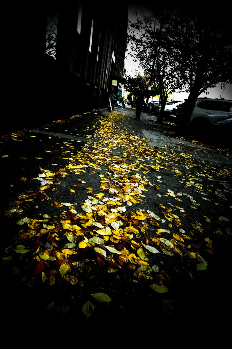 © Jay Shifman - What Is: 2