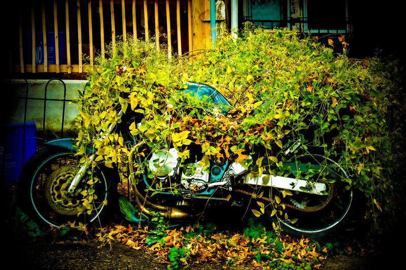 © Jay Shifman - What Could Be: 1