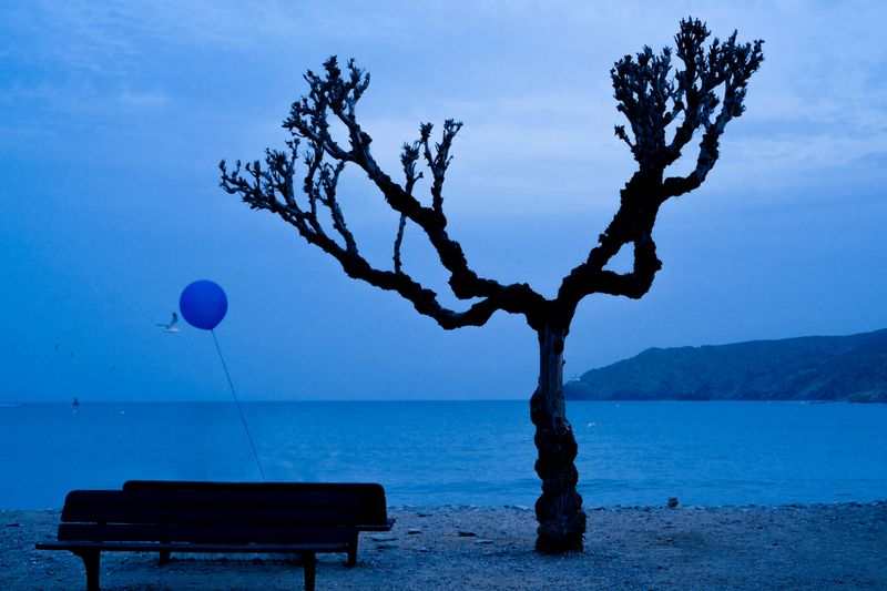 © Ting Miao - Image from the Blue Odyssey photography project