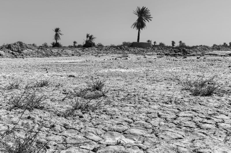 © Ali Hamed Haghdoust - Image from the Sistan photography project