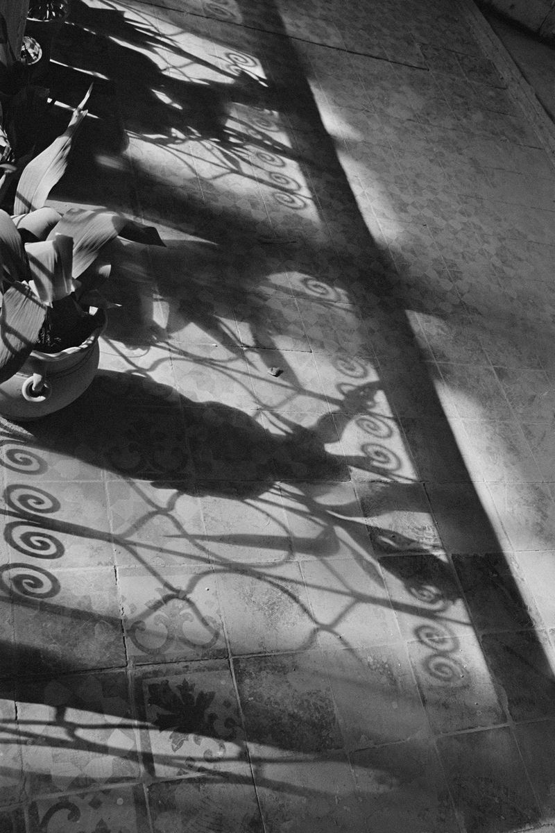 © Oliver Tooke - I - Iraq, 2022.