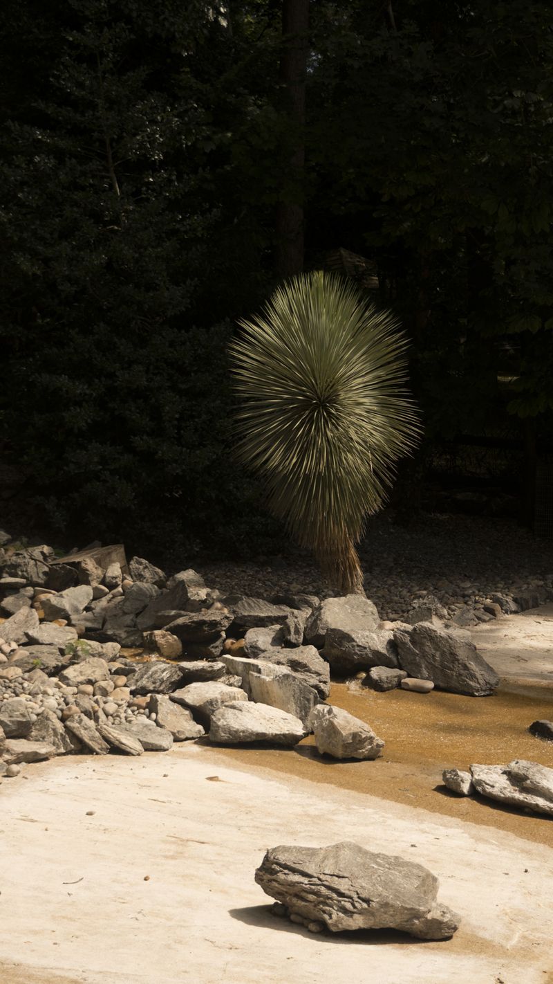 © oriane thomasson - Image from the Paradis photography project