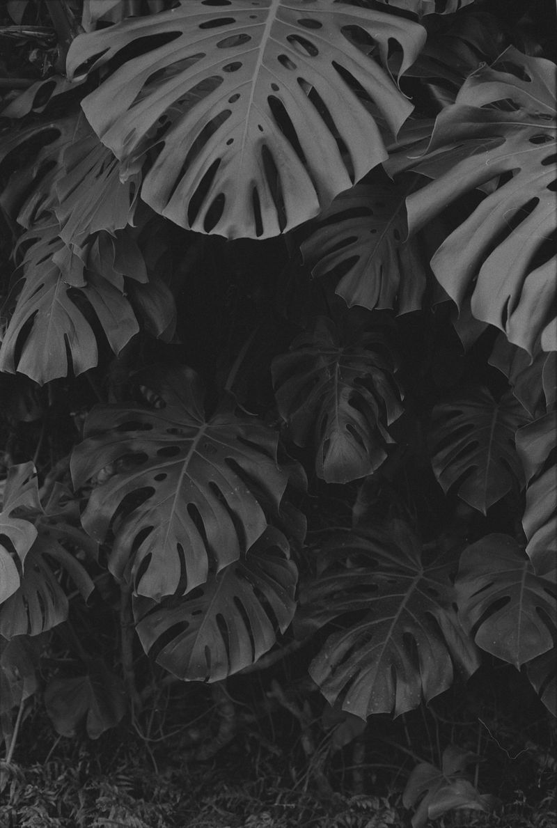 © oriane thomasson - Image from the Paradis photography project