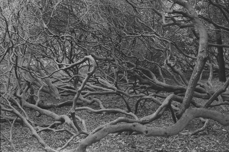 © oriane thomasson - Image from the Paradis photography project
