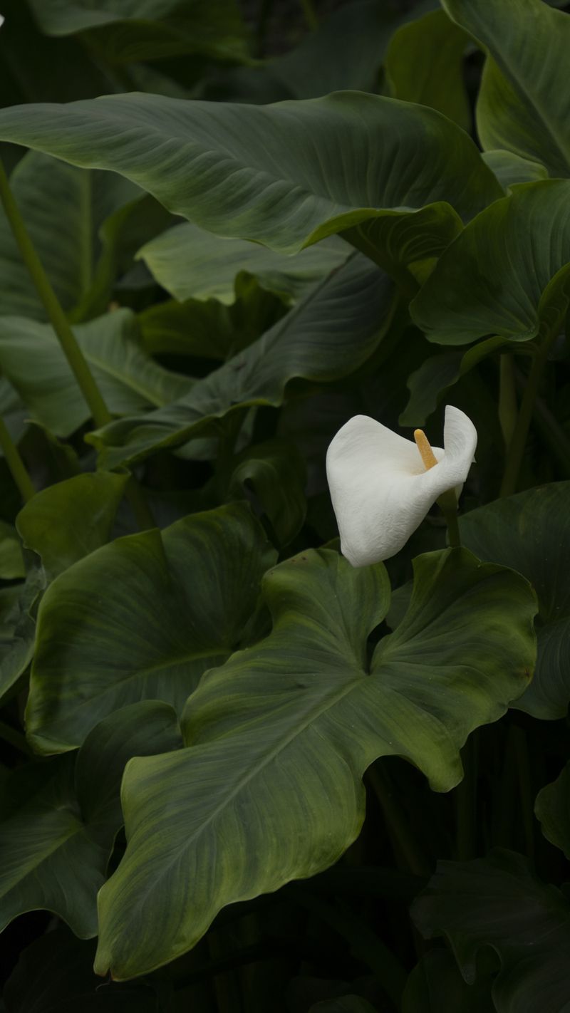 © oriane thomasson - Image from the Paradis photography project
