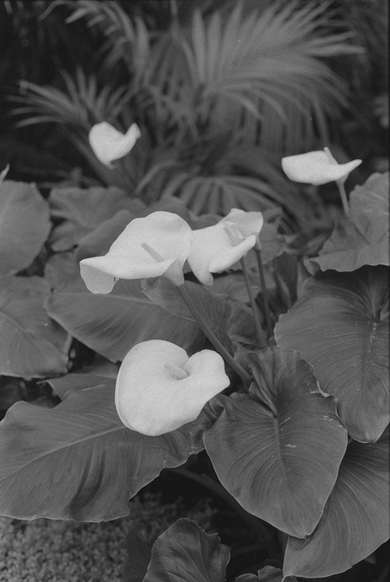© oriane thomasson - Image from the Paradis photography project