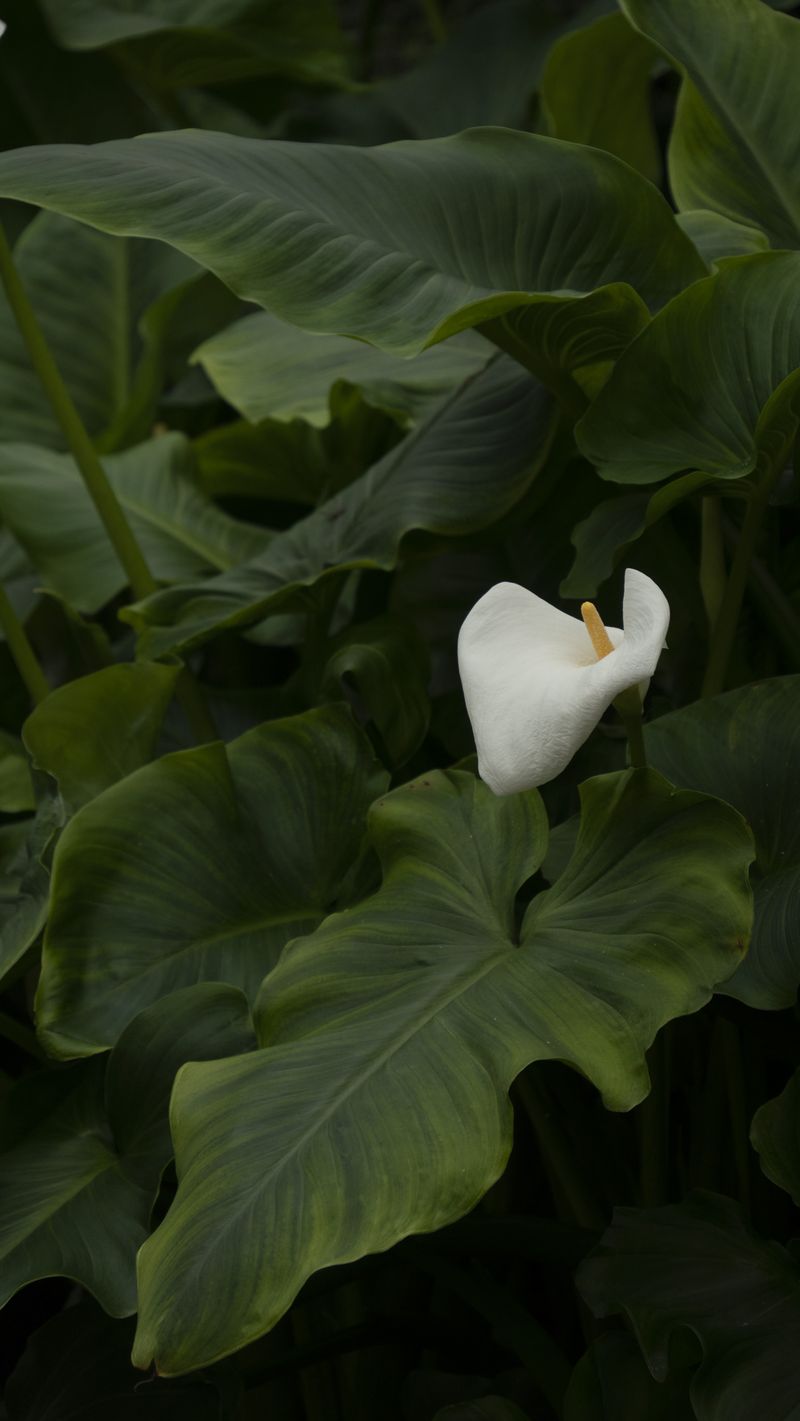© oriane thomasson - Image from the Paradis photography project