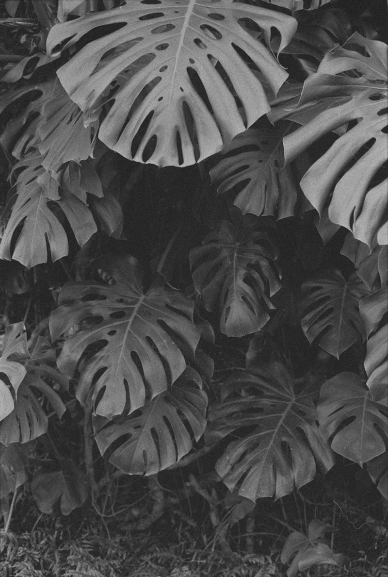 © oriane thomasson - Image from the Paradis photography project