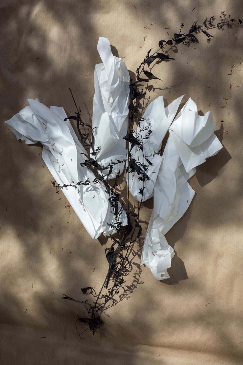 © Qiana Mestrich - "Mourning Weeds", 2020 From the series THRALL (2017-2020) by Qiana Mestrich