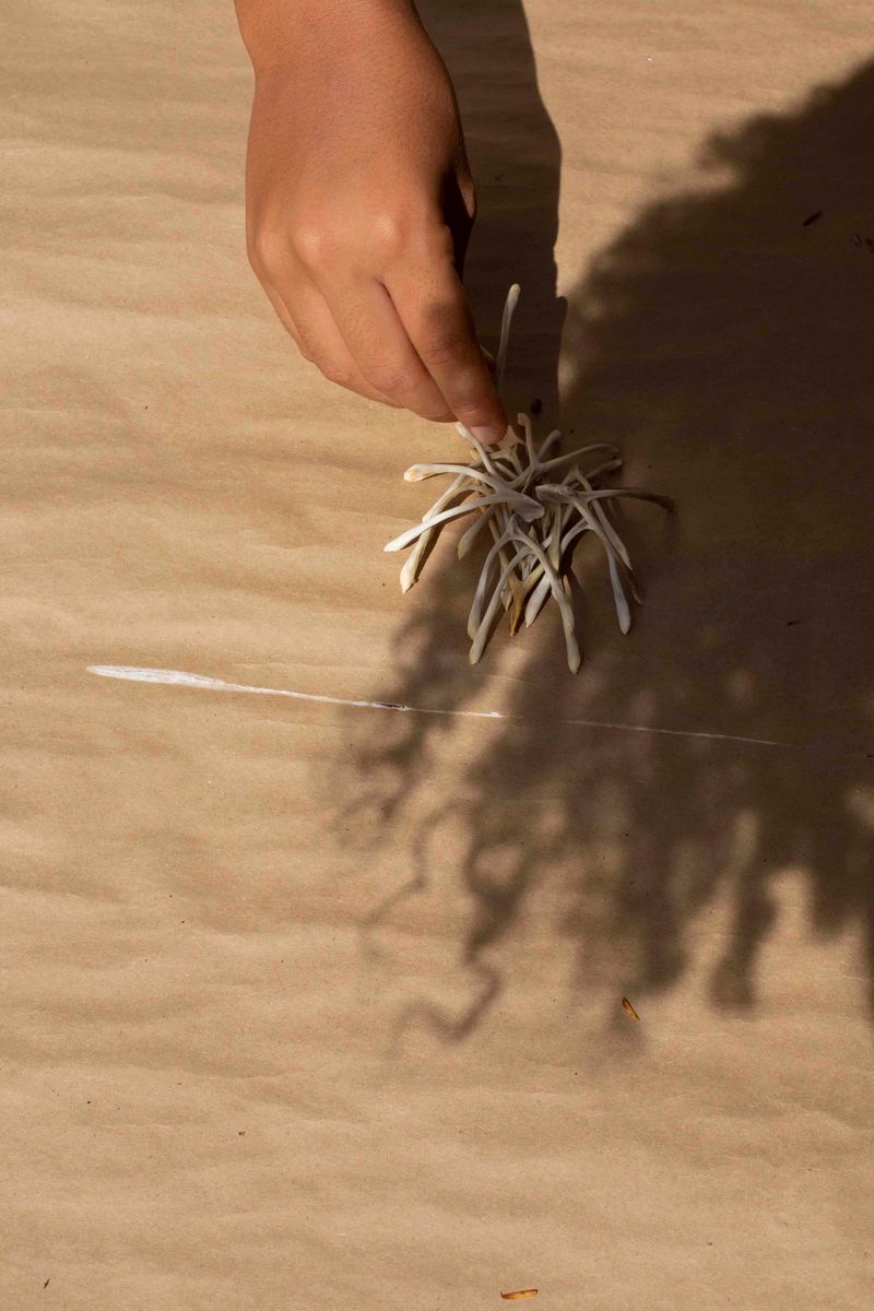 © Qiana Mestrich - "No Longer Hidden", 2020 From the series THRALL (2017-2020) by Qiana Mestrich