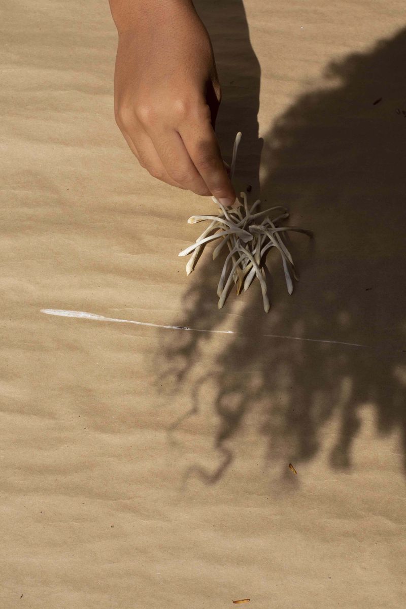 © Qiana Mestrich - "No Longer Hidden", 2020 From the series THRALL (2017-2020) by Qiana Mestrich