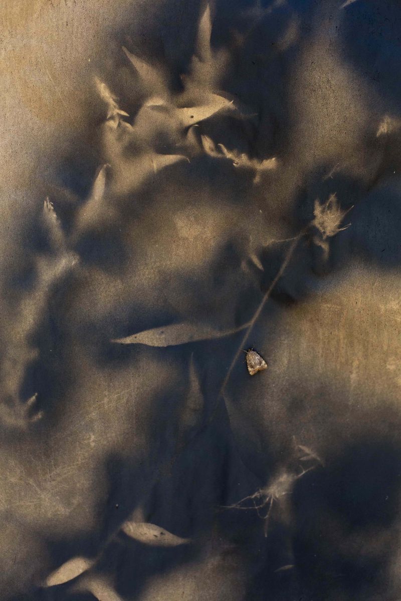 © Qiana Mestrich - "Camouflage", 2020 From the series THRALL (2017-2020) by Qiana Mestrich