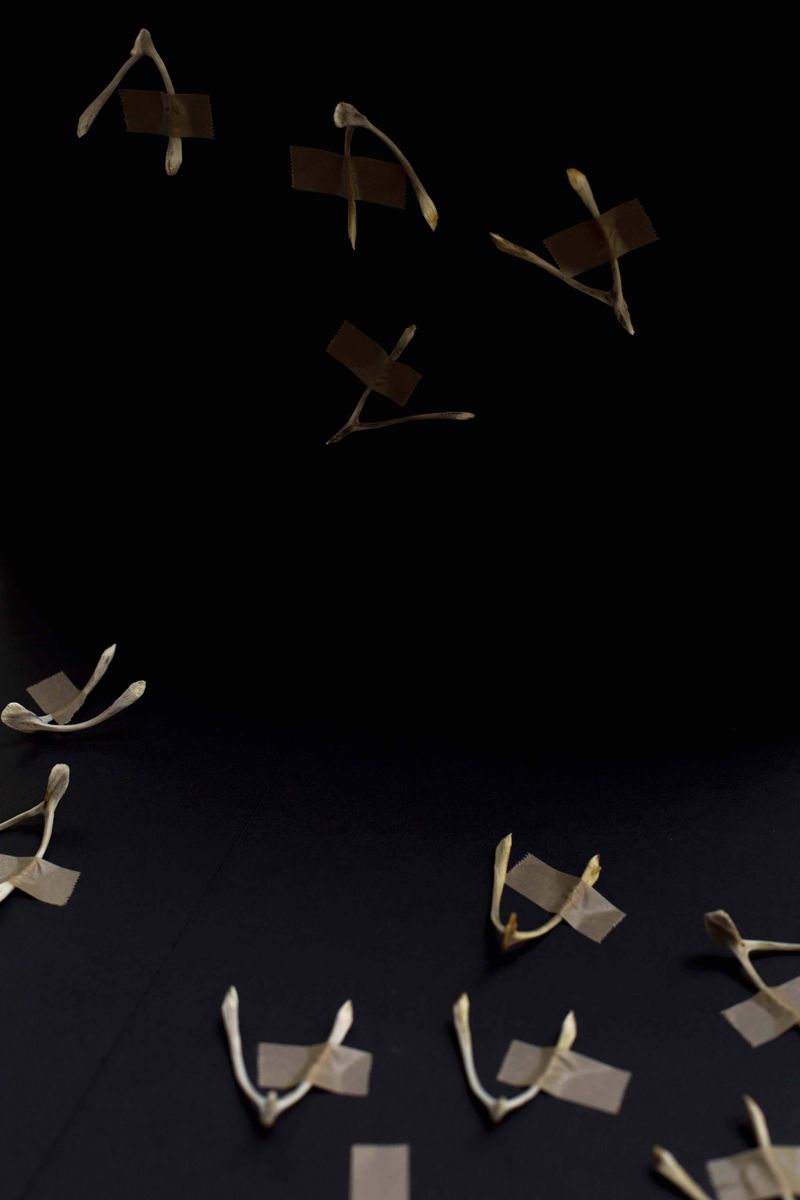 © Qiana Mestrich - "Dreams Never Promised", 2020 From the series THRALL (2017-2020) by Qiana Mestrich