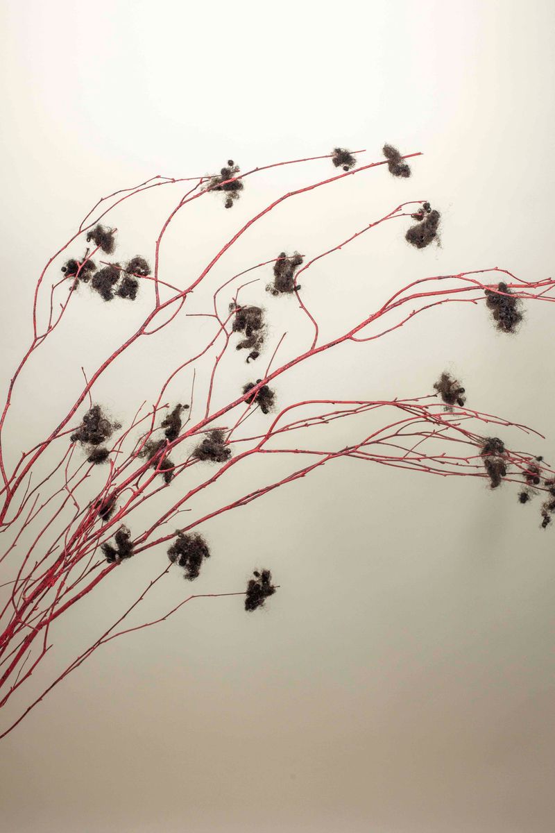 © Qiana Mestrich - "Strange Bush", 2017 From the series THRALL (2017-2020) by Qiana Mestrich