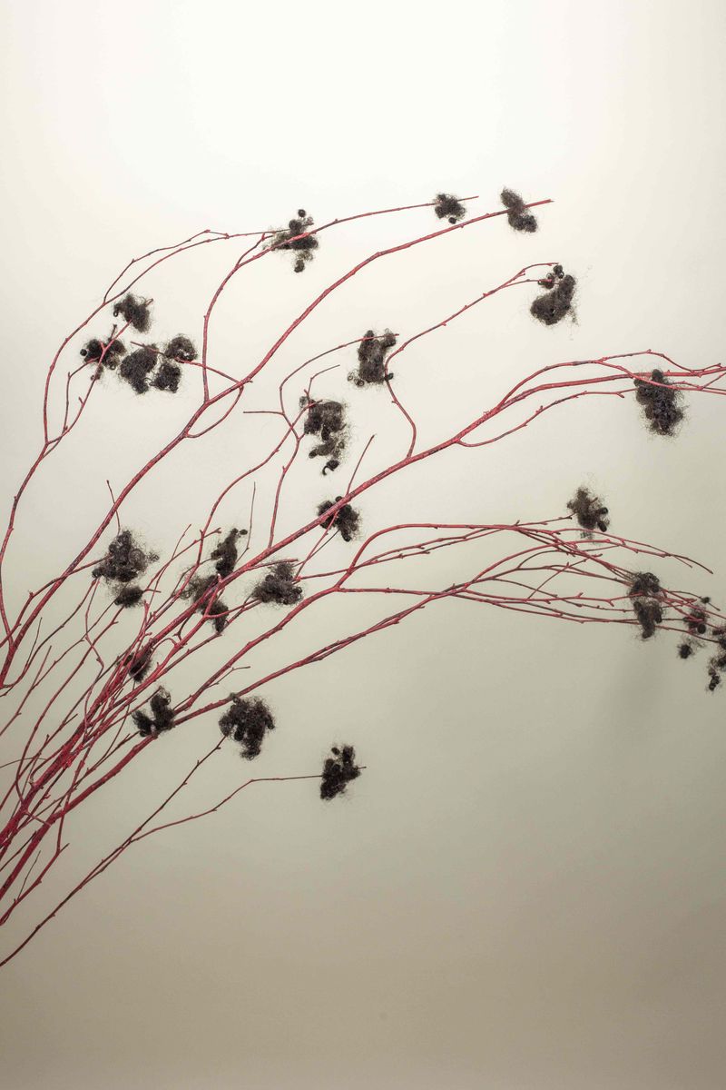 © Qiana Mestrich - "Strange Bush", 2017 From the series THRALL (2017-2020) by Qiana Mestrich