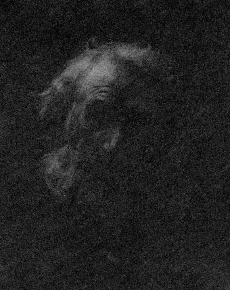 © Overlapse - Image from the The Disappearance of Joseph Plummer Cabin Edition by Amani Willett photography project