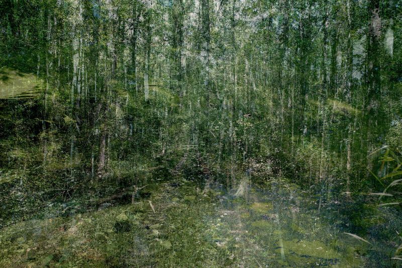 © Overlapse - Image from the The Disappearance of Joseph Plummer Cabin Edition by Amani Willett photography project