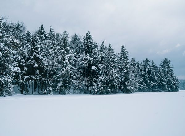 © Overlapse - Image from the The Disappearance of Joseph Plummer Cabin Edition by Amani Willett photography project