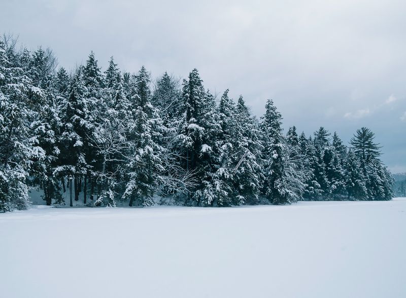 © Overlapse - Image from the The Disappearance of Joseph Plummer Cabin Edition by Amani Willett photography project