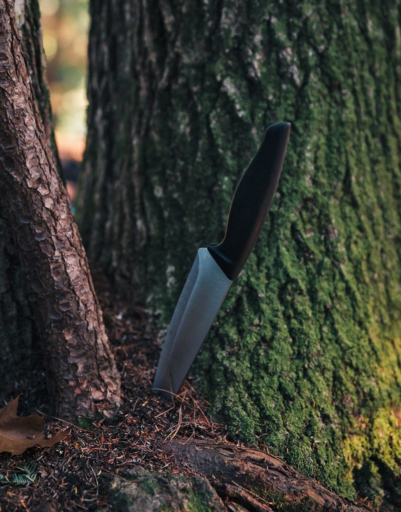 © Overlapse - Image from the The Disappearance of Joseph Plummer Cabin Edition by Amani Willett photography project