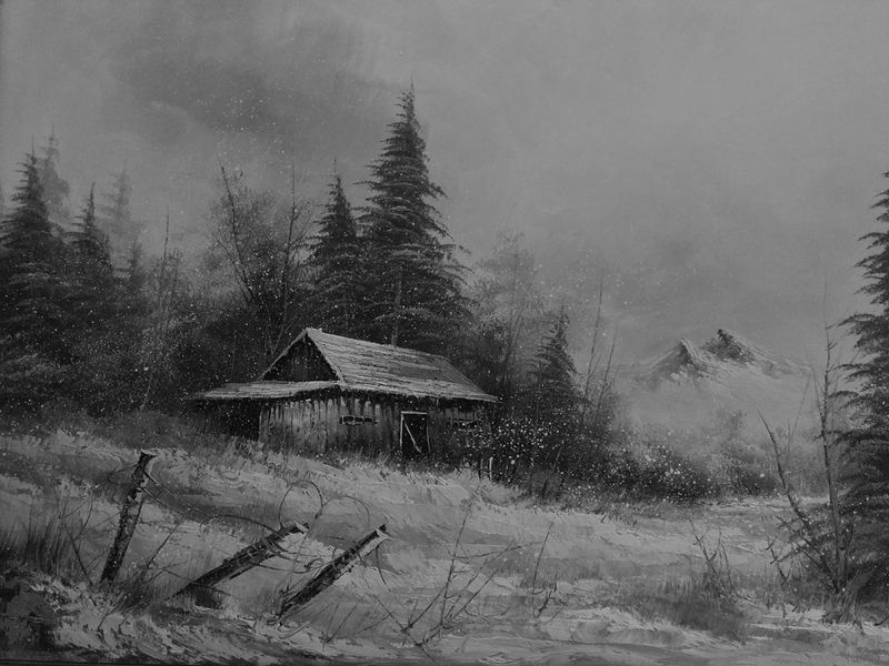 © Overlapse - Image from the The Disappearance of Joseph Plummer Cabin Edition by Amani Willett photography project