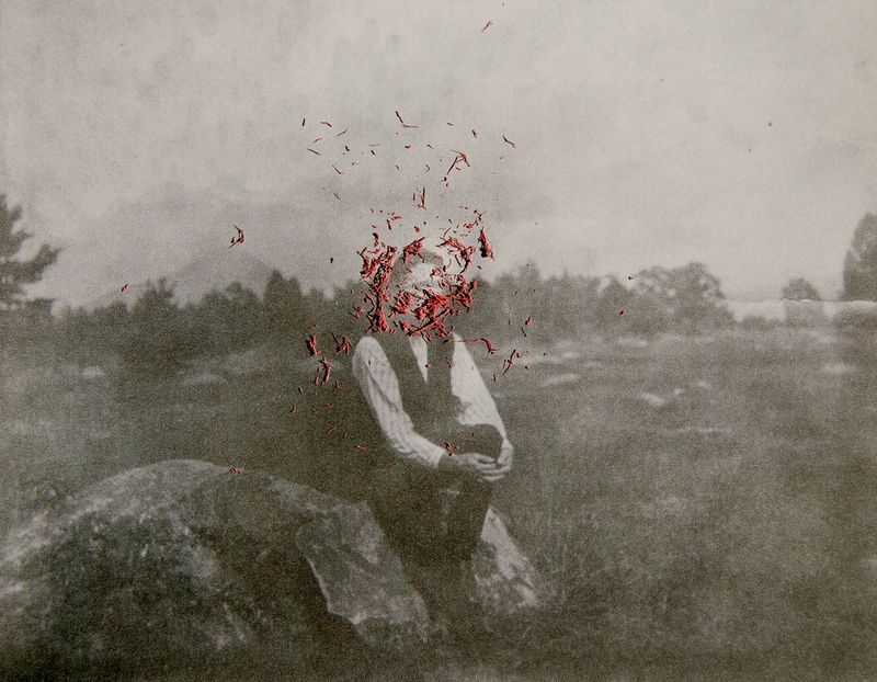© Overlapse - Image from the The Disappearance of Joseph Plummer Cabin Edition by Amani Willett photography project