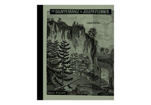 The Disappearance of Joseph Plummer Cabin Edition by Amani Willett