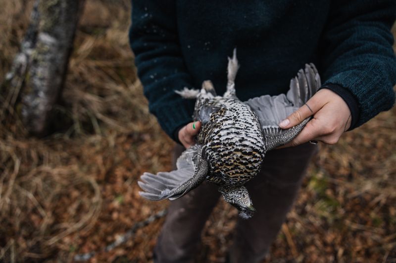 © emily sullivan - Image from the Northern Stories photography project