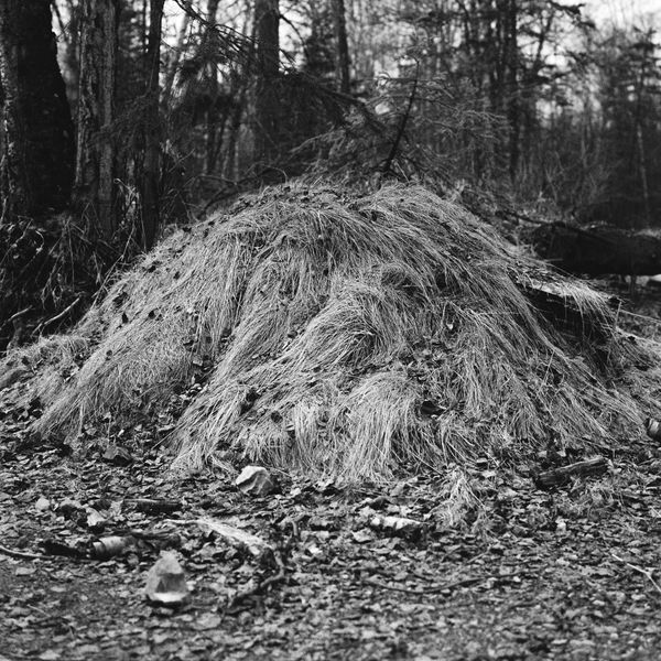 © emily sullivan - Image from the Interventions photography project