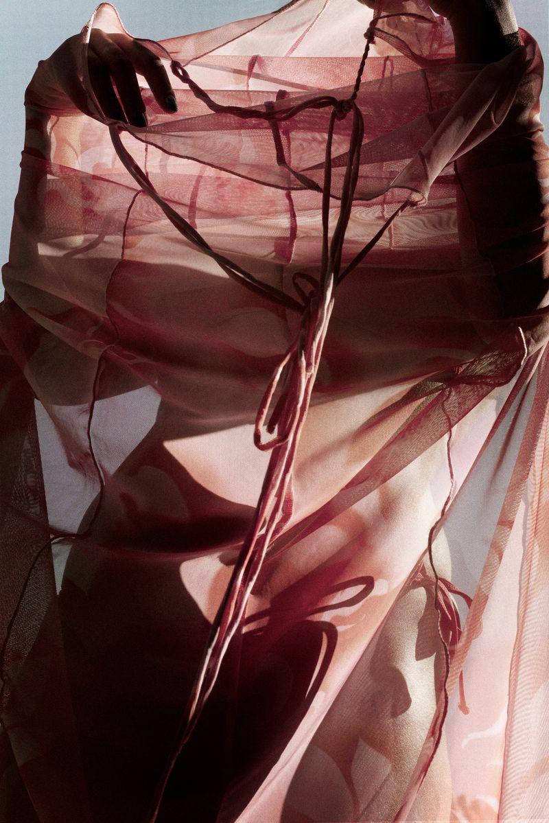 © Vera Van Dam - Image from the Dahlia photography project