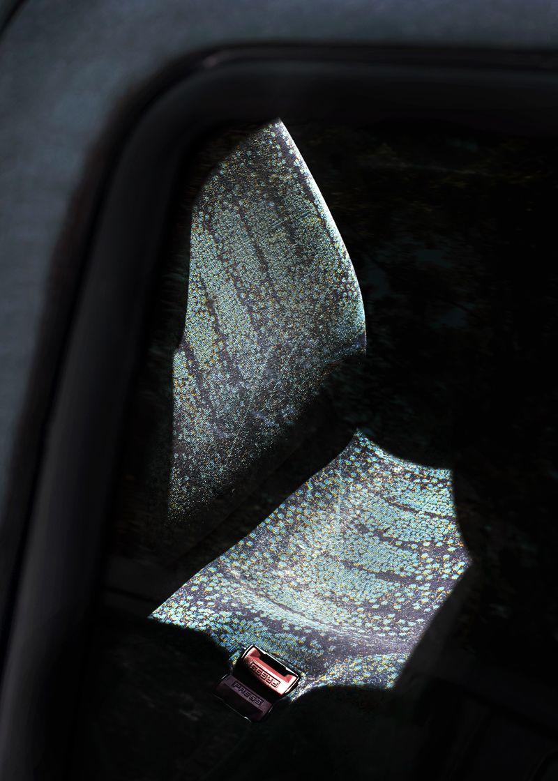 © Vera Van Dam - Image from the Dahlia photography project