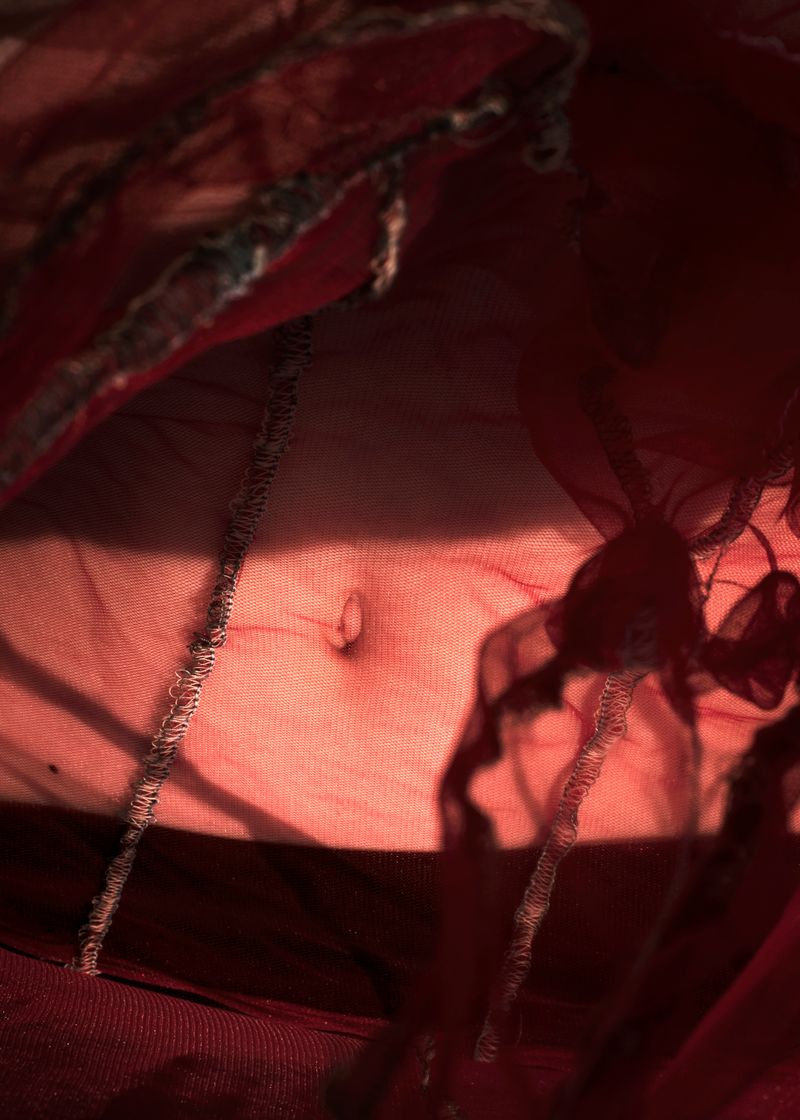 © Vera Van Dam - Image from the Dahlia photography project