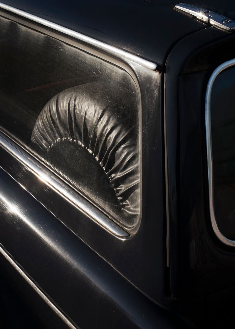 © Vera Van Dam - Image from the Dahlia photography project