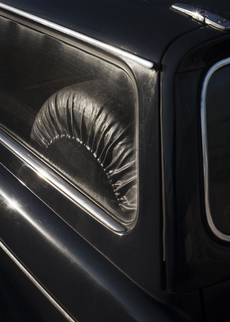 © Vera Van Dam - Image from the Dahlia photography project