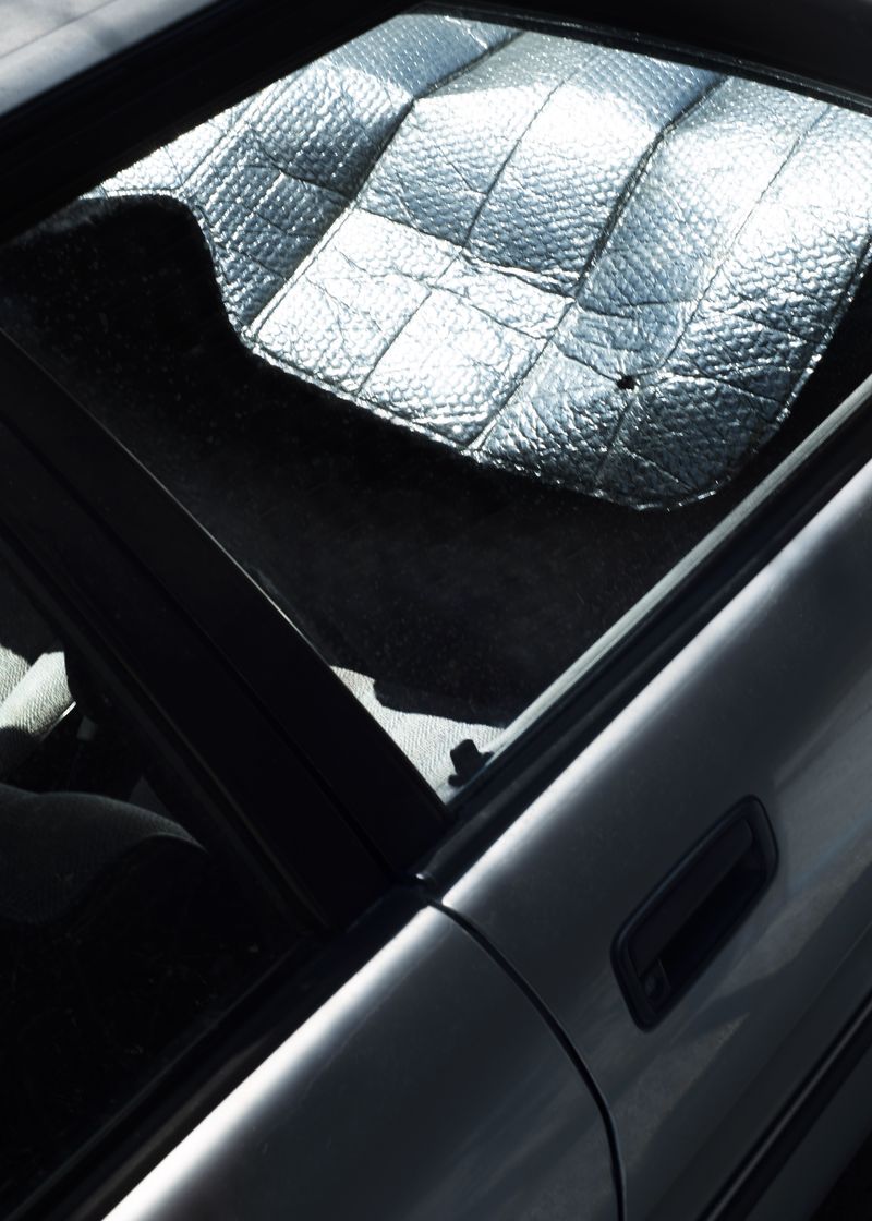 © Vera Van Dam - Image from the Dahlia photography project