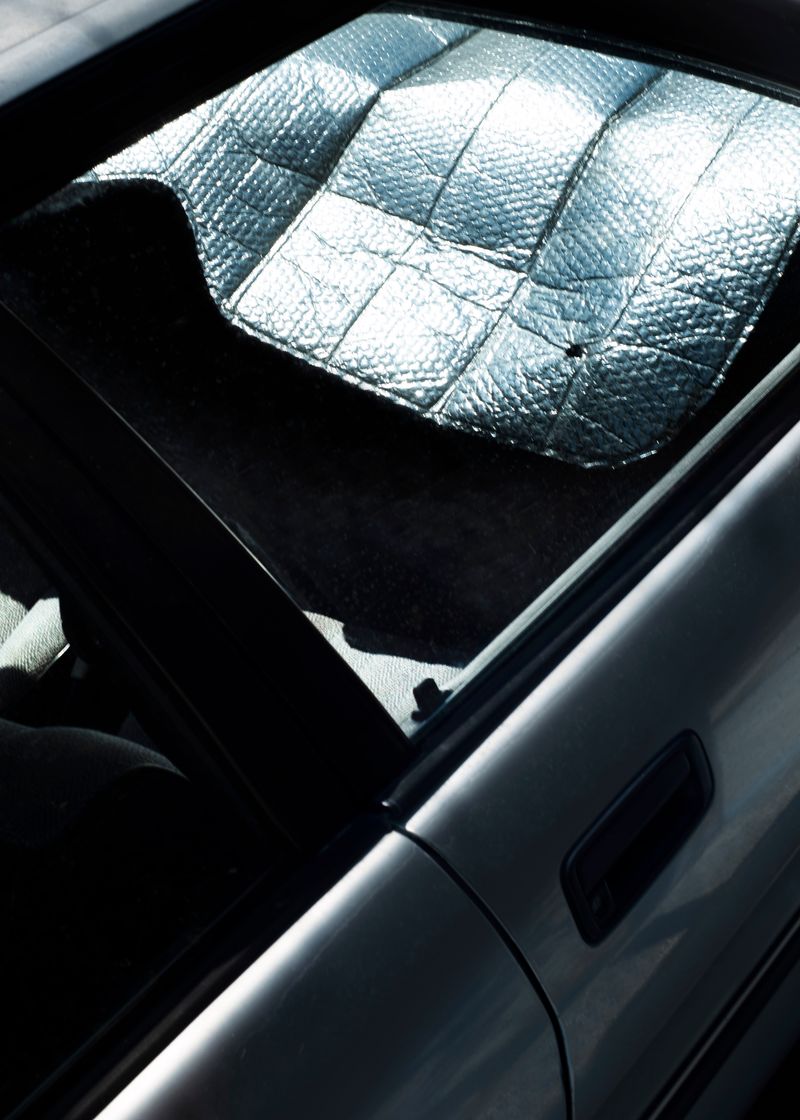 © Vera Van Dam - Image from the Dahlia photography project