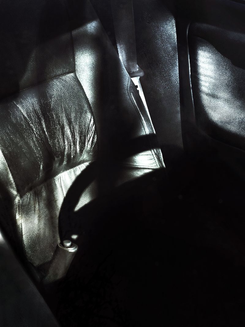 © Vera Van Dam - Image from the Dahlia photography project