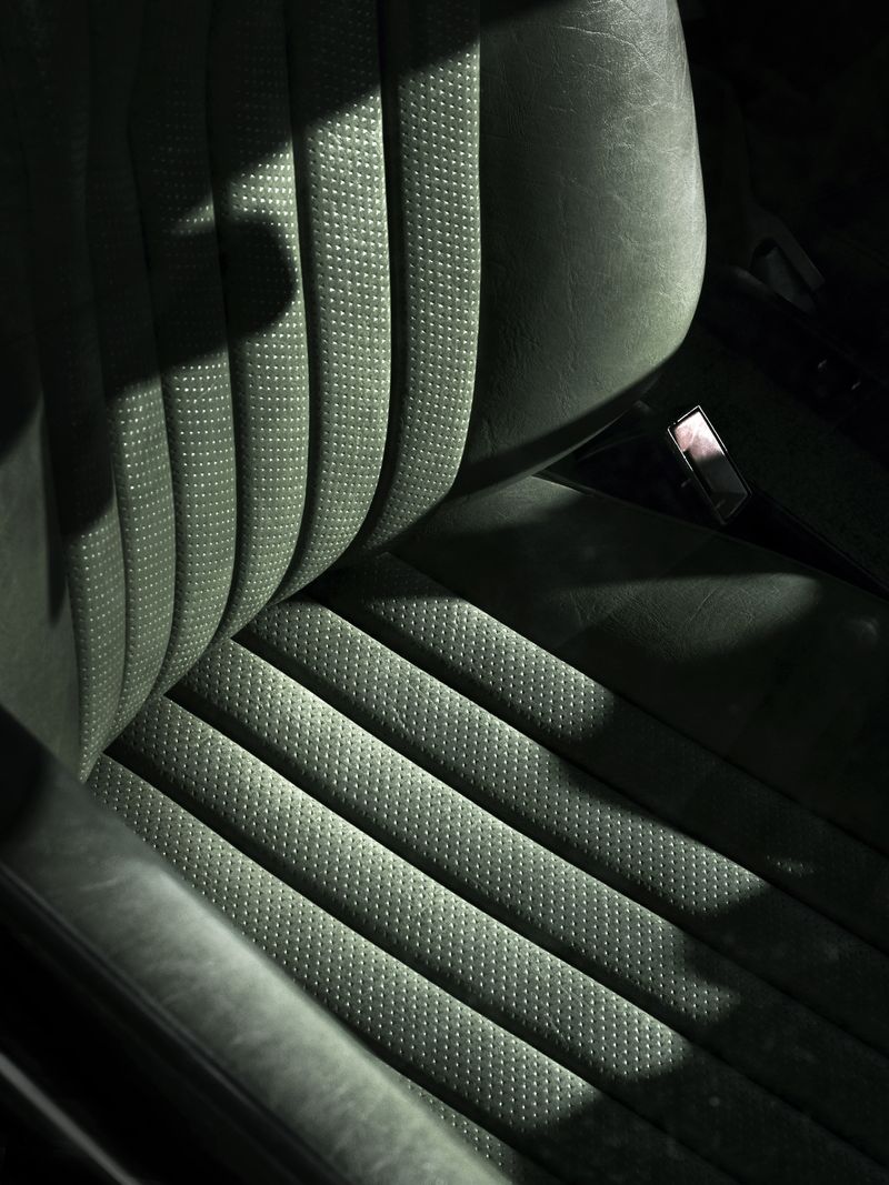 © Vera Van Dam - Image from the Dahlia photography project