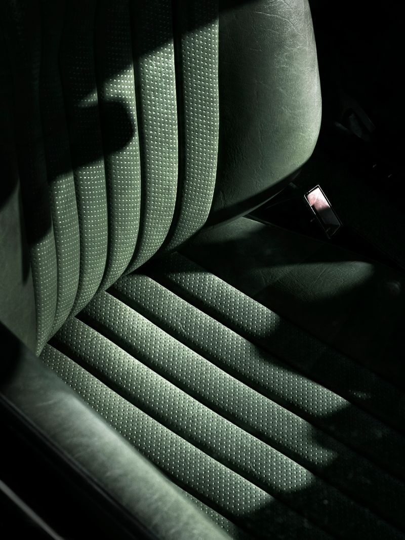 © Vera Van Dam - Image from the Dahlia photography project