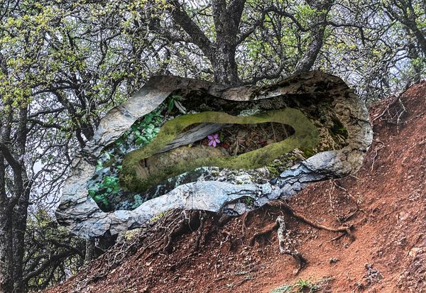 © Charlotta Hauksdottir - Image from the Imprints photography project