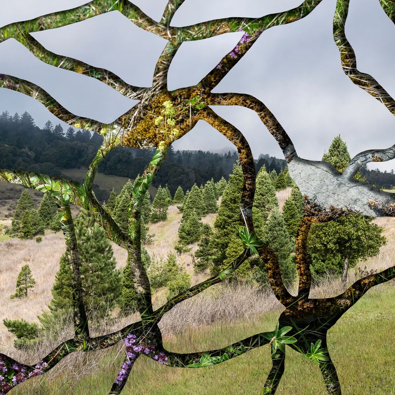 © Charlotta Hauksdottir - Imperception IX Archival inkjet prints, hand cut and layered with mixed media in between creating a 3-d work