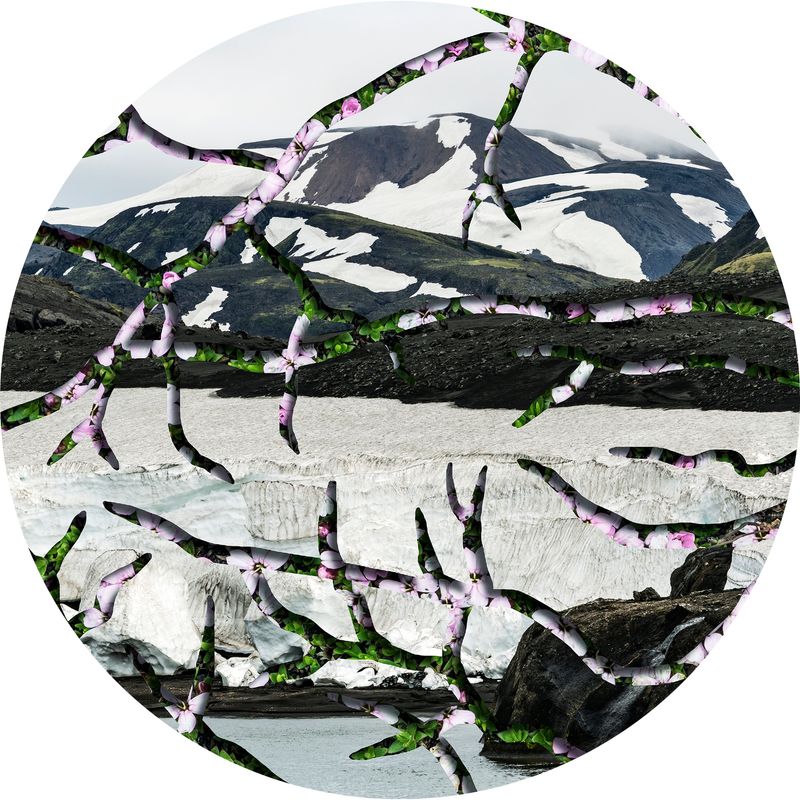 © Charlotta Hauksdottir - Imperception II Archival inkjet prints, hand cut and layered with mixed media in between creating a 3-d work