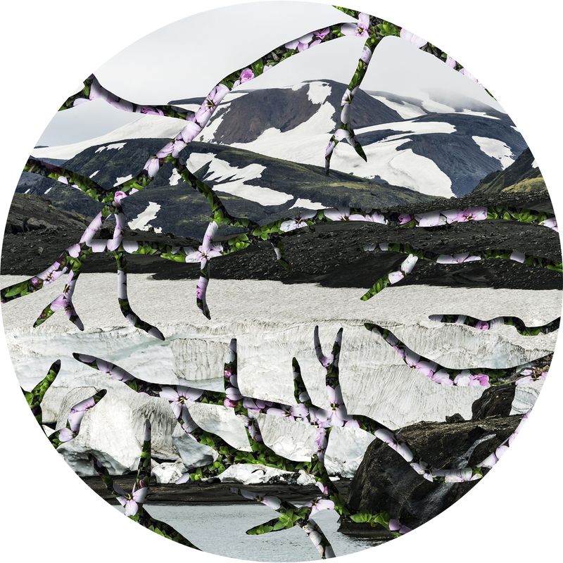 © Charlotta Hauksdottir - Imperception II Archival inkjet prints, hand cut and layered with mixed media in between creating a 3-d work