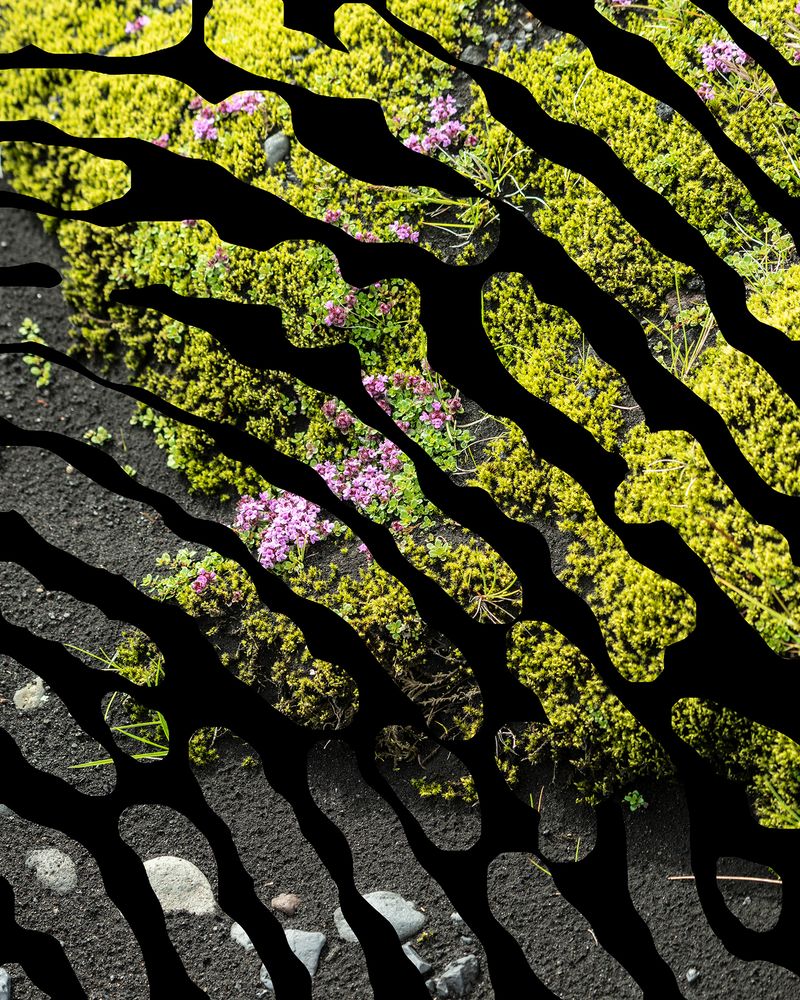 © Charlotta Hauksdottir - Impression XXV Archival inkjet prints, hand cut and layered with mixed media in between creating a 3-d work