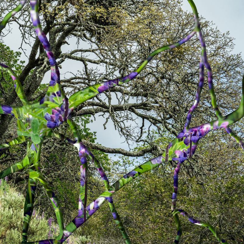 © Charlotta Hauksdottir - Imperception XIII, 2022, archival inkjet prints