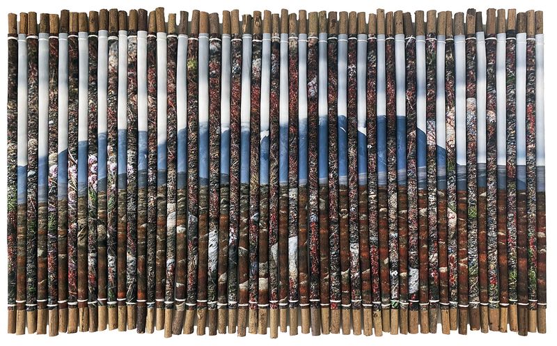 © Charlotta Hauksdottir - Reclamation VI, 2023, archival inkjet prints, branches