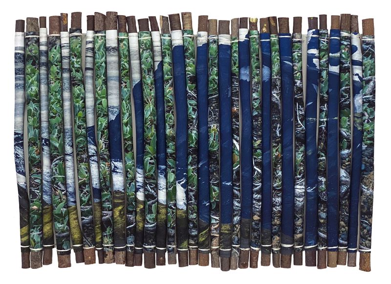 © Charlotta Hauksdottir - Reclamation III, 2023, archival inkjet prints, branches