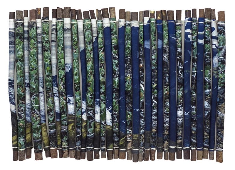 © Charlotta Hauksdottir - Reclamation III, 2023, archival inkjet prints, branches