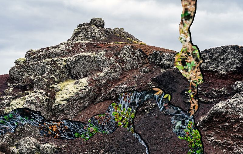 © Charlotta Hauksdottir - Resurgence VI, 2023, archival inkjet prints