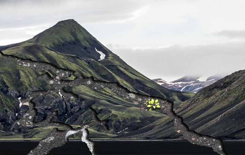 © Charlotta Hauksdottir - Resurgence I, 2023, archival inkjet prints